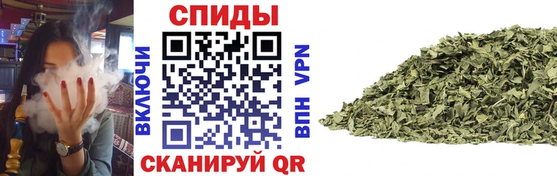 сайты даркнета Telegram  Мезень  БУТИРАТ Butirat 