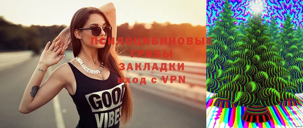 первитин Белокуриха
