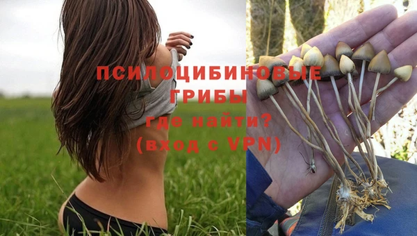 прущие крисы Беломорск