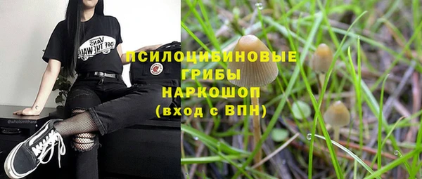 первитин Белокуриха