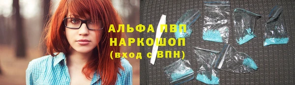 прущие крисы Беломорск
